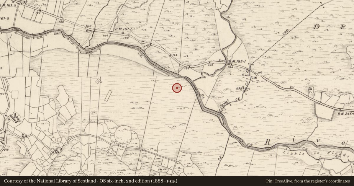 Ordnance Survey six-inch map, 2nd edition (1888–1915) covering the location of Hut site, Shronahiree More, County Kerry, with a pin at the register's coordinates