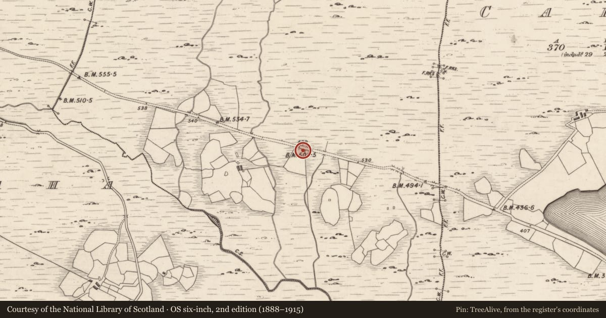 Ordnance Survey six-inch map, 2nd edition (1888–1915) covering the location of Rock art, Derreeny, County Kerry, with a pin at the register's coordinates
