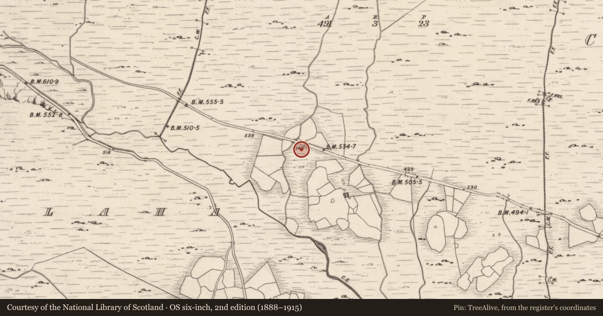 Ordnance Survey six-inch map, 2nd edition (1888–1915) covering the location of Rock art, Derreeny, County Kerry, with a pin at the register's coordinates