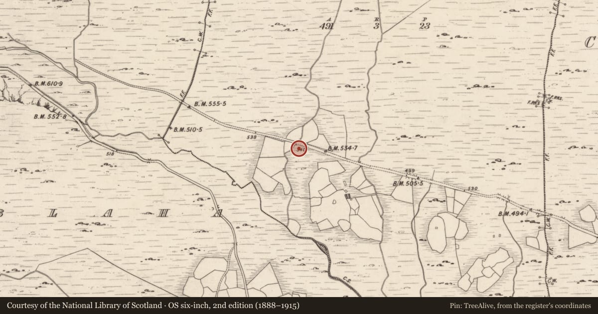 Ordnance Survey six-inch map, 2nd edition (1888–1915) covering the location of Rock art, Derreeny, County Kerry, with a pin at the register's coordinates