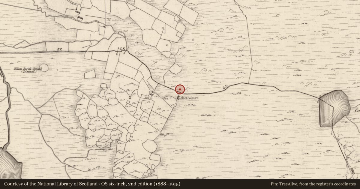Ordnance Survey six-inch map, 2nd edition (1888–1915) covering the location of Bullaun stone, Cloon East, County Kerry, with a pin at the register's coordinates