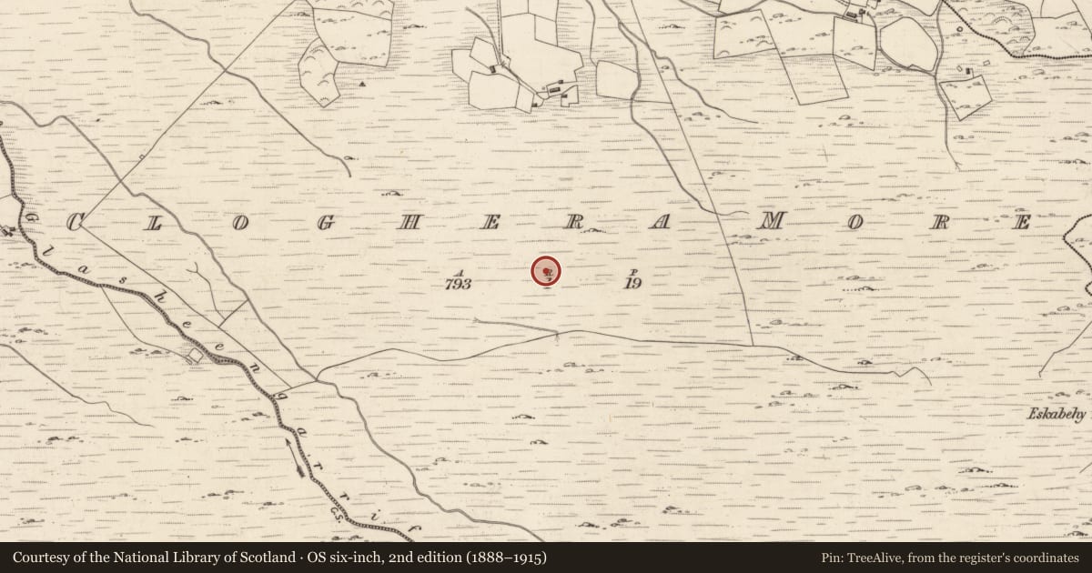 Ordnance Survey six-inch map, 2nd edition (1888–1915) covering the location of Rock art, Cloghera More, County Kerry, with a pin at the register's coordinates