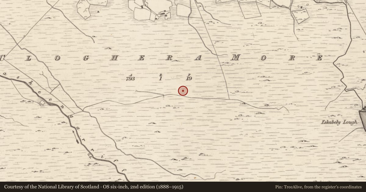 Ordnance Survey six-inch map, 2nd edition (1888–1915) covering the location of Hut site, Cloghera More, County Kerry, with a pin at the register's coordinates
