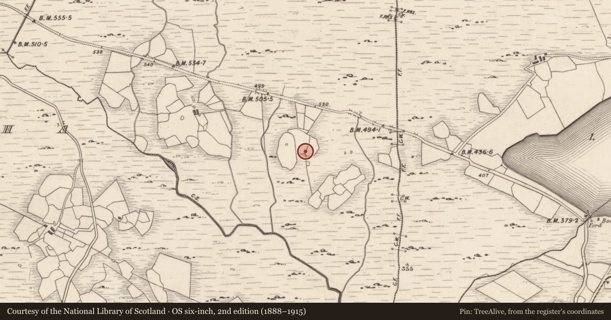 Ordnance Survey six-inch map, 2nd edition (1888–1915) covering the location of Standing stone, Derreeny, County Kerry, with a pin at the register's coordinates