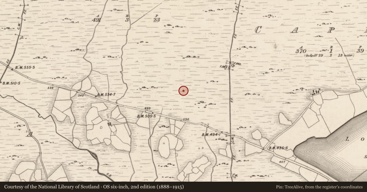 Ordnance Survey six-inch map, 2nd edition (1888–1915) covering the location of Mass-rock, Derreeny, County Kerry, with a pin at the register's coordinates