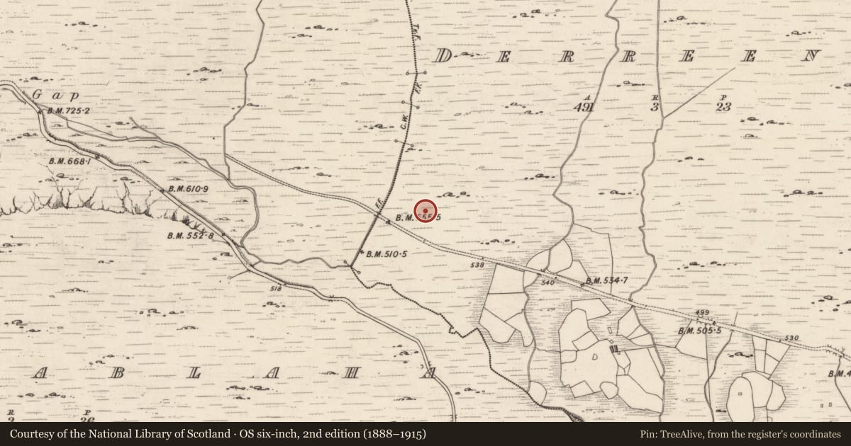 Ordnance Survey six-inch map, 2nd edition (1888–1915) covering the location of Hut site, Derreeny, County Kerry, with a pin at the register's coordinates
