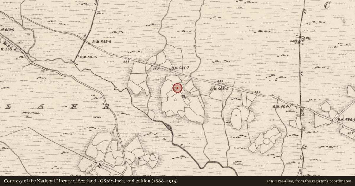 Ordnance Survey six-inch map, 2nd edition (1888–1915) covering the location of Megalithic structure, Derreeny, County Kerry, with a pin at the register's coordinates