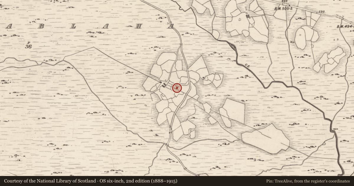 Ordnance Survey six-inch map, 2nd edition (1888–1915) covering the location of Rock art, Derrynablaha, County Kerry, with a pin at the register's coordinates