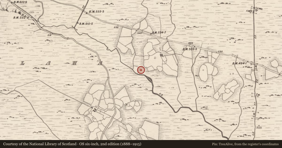 Ordnance Survey six-inch map, 2nd edition (1888–1915) covering the location of Rock art, Derreeny, County Kerry, with a pin at the register's coordinates