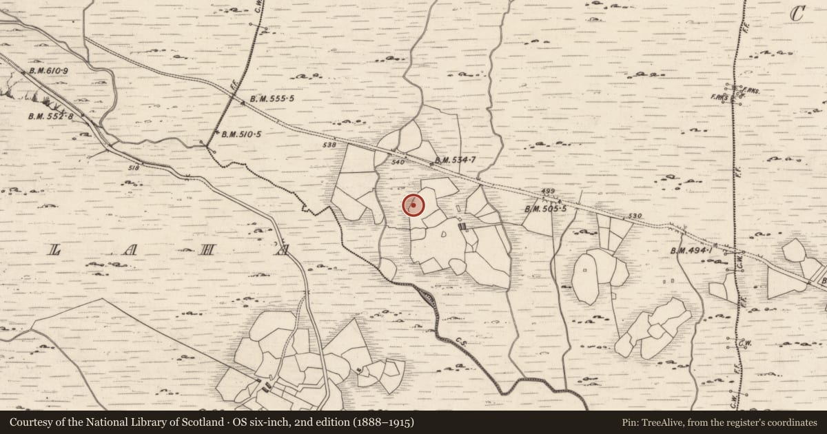 Ordnance Survey six-inch map, 2nd edition (1888–1915) covering the location of Rock art, Derreeny, County Kerry, with a pin at the register's coordinates