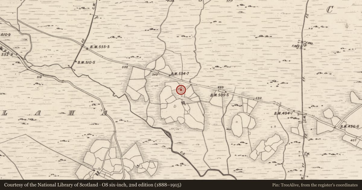 Ordnance Survey six-inch map, 2nd edition (1888–1915) covering the location of Rock art, Derreeny, County Kerry, with a pin at the register's coordinates