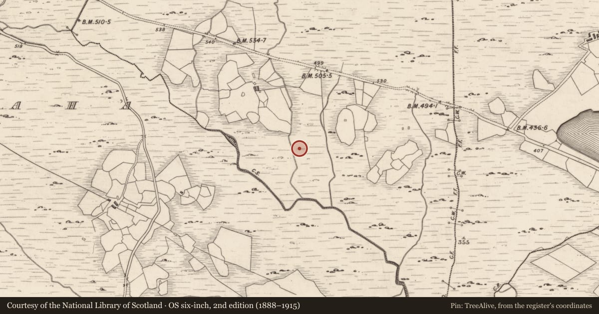Ordnance Survey six-inch map, 2nd edition (1888–1915) covering the location of Rock art, Derreeny, County Kerry, with a pin at the register's coordinates