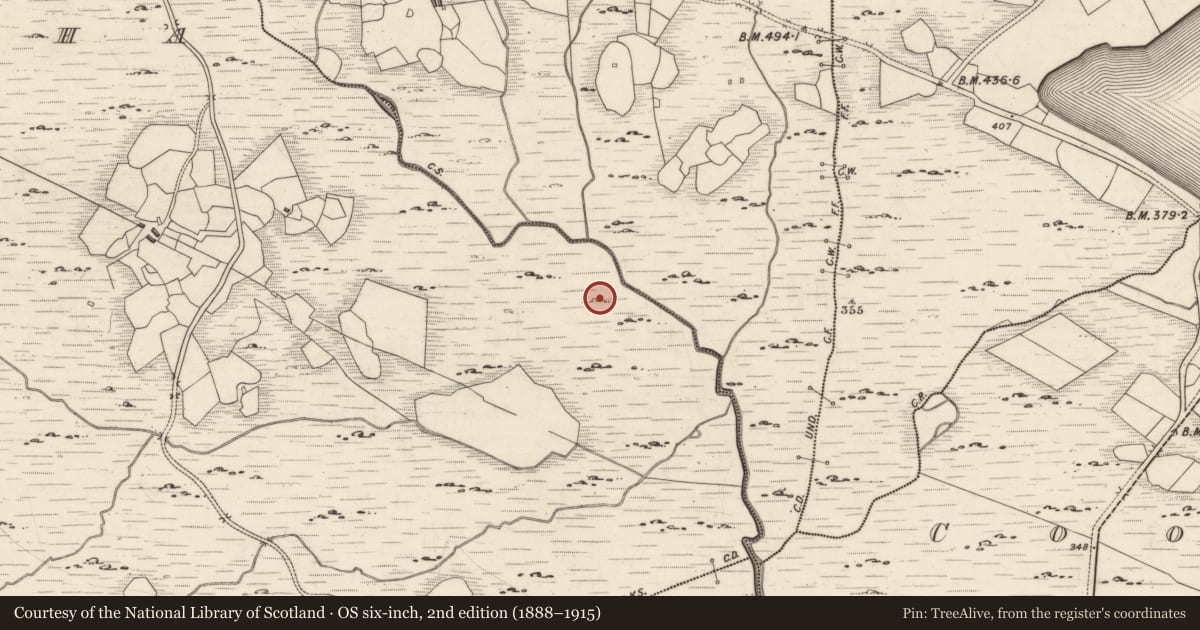 Ordnance Survey six-inch map, 2nd edition (1888–1915) covering the location of Rock art, Derrynablaha, County Kerry, with a pin at the register's coordinates