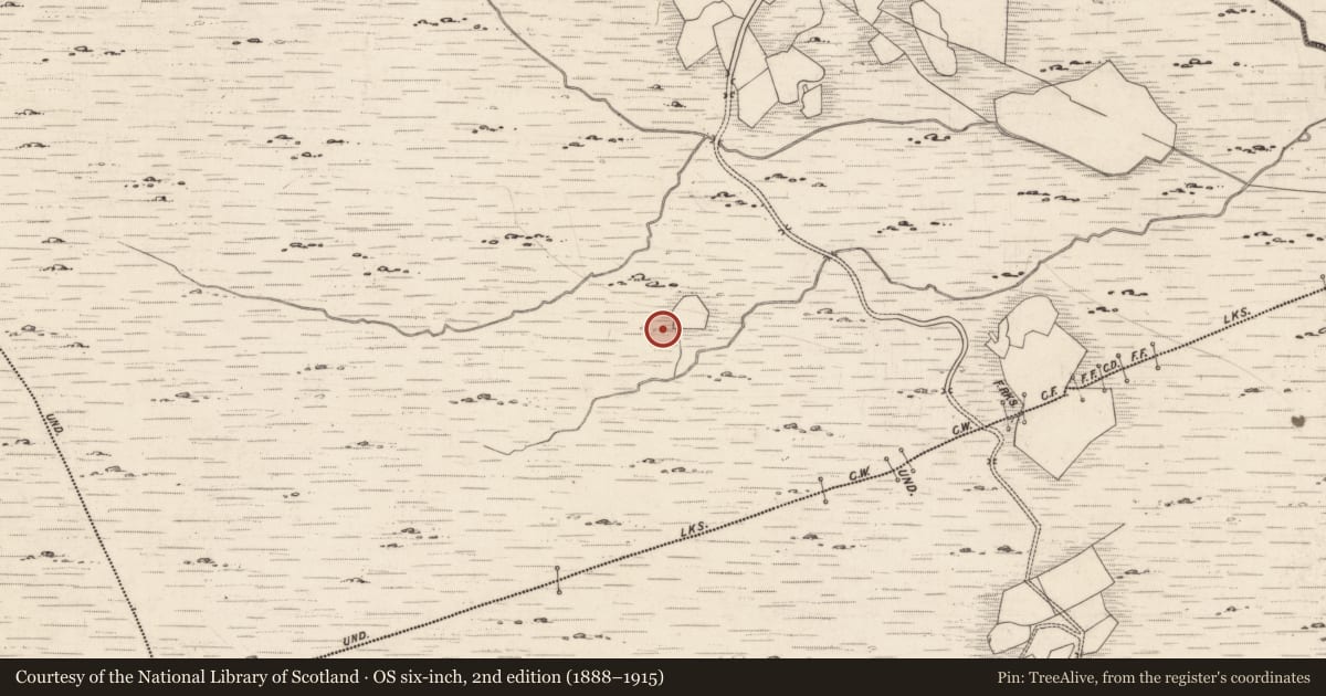 Ordnance Survey six-inch map, 2nd edition (1888–1915) covering the location of Rock art, Derrynablaha, County Kerry, with a pin at the register's coordinates