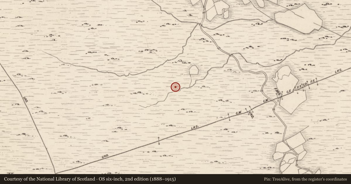 Ordnance Survey six-inch map, 2nd edition (1888–1915) covering the location of Rock art, Derrynablaha, County Kerry, with a pin at the register's coordinates