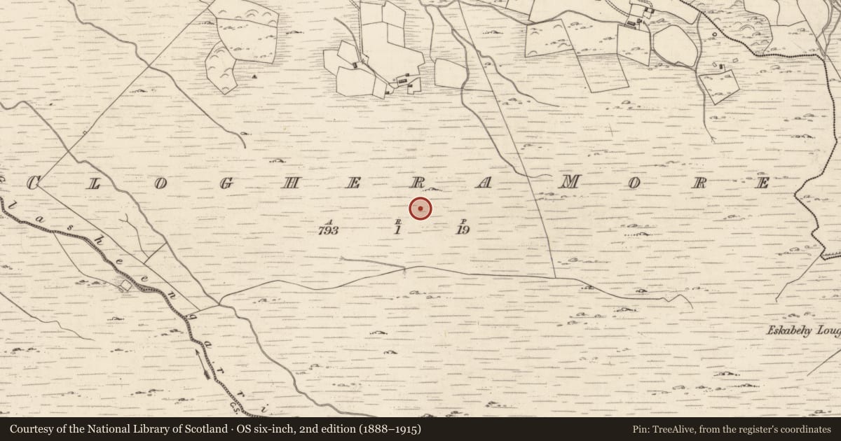 Ordnance Survey six-inch map, 2nd edition (1888–1915) covering the location of Rock art, Cloghera More, County Kerry, with a pin at the register's coordinates