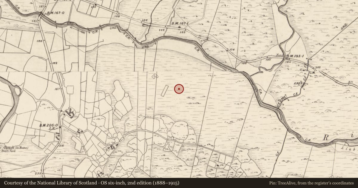Ordnance Survey six-inch map, 2nd edition (1888–1915) covering the location of Rock art, Shronahiree More, County Kerry, with a pin at the register's coordinates