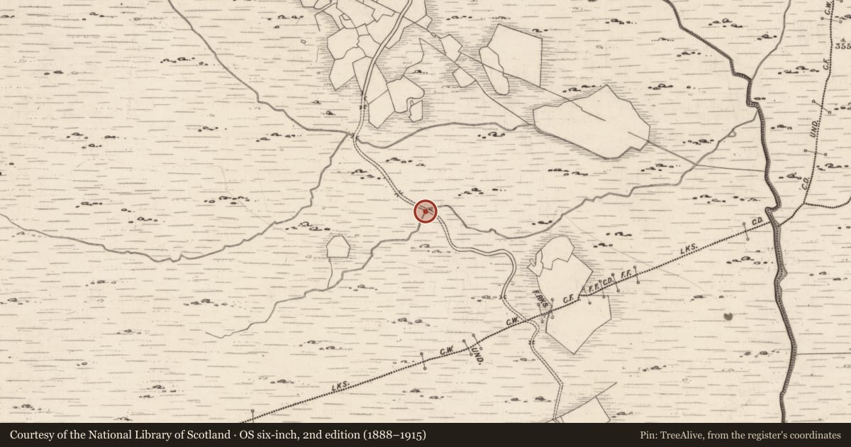 Ordnance Survey six-inch map, 2nd edition (1888–1915) covering the location of Rock art, Derrynablaha, County Kerry, with a pin at the register's coordinates