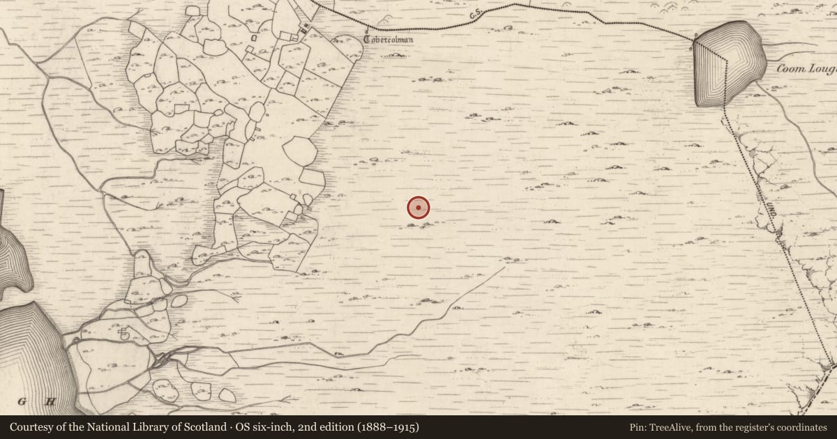 Ordnance Survey six-inch map, 2nd edition (1888–1915) covering the location of Ringfort - cashel, Cloon West, County Kerry, with a pin at the register's coordinates