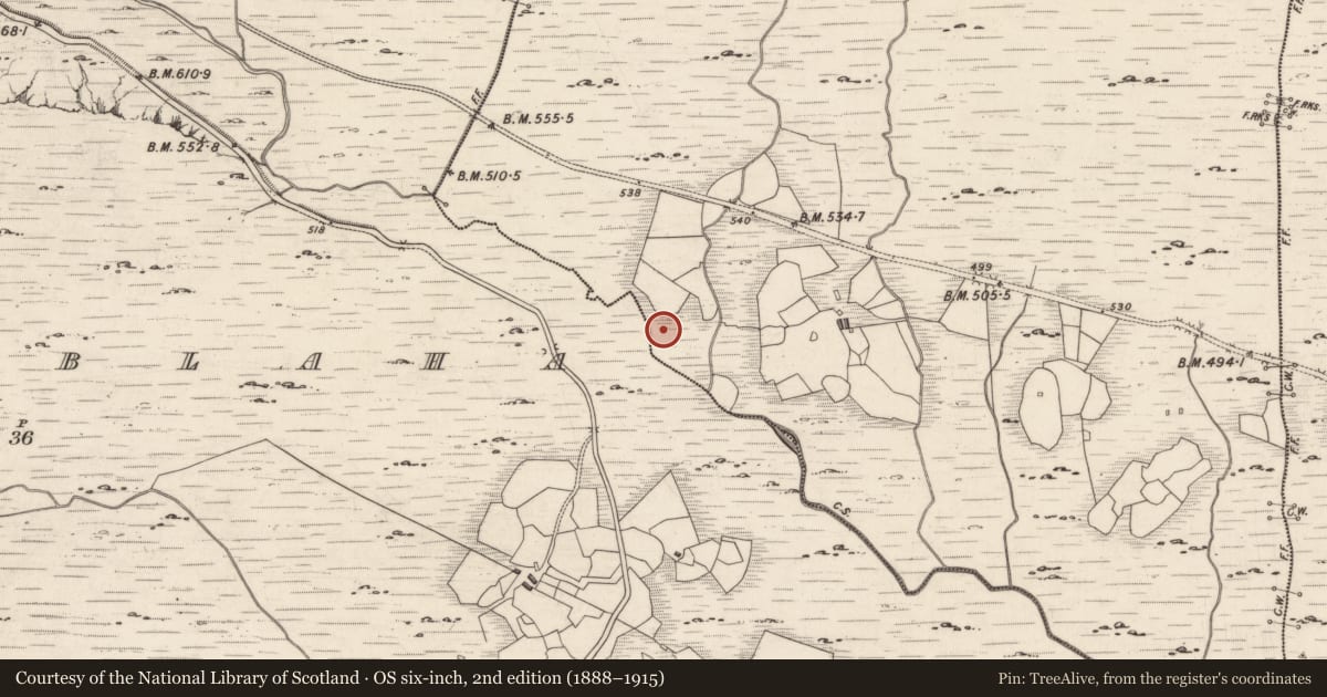 Ordnance Survey six-inch map, 2nd edition (1888–1915) covering the location of Rock art, Derreeny, County Kerry, with a pin at the register's coordinates