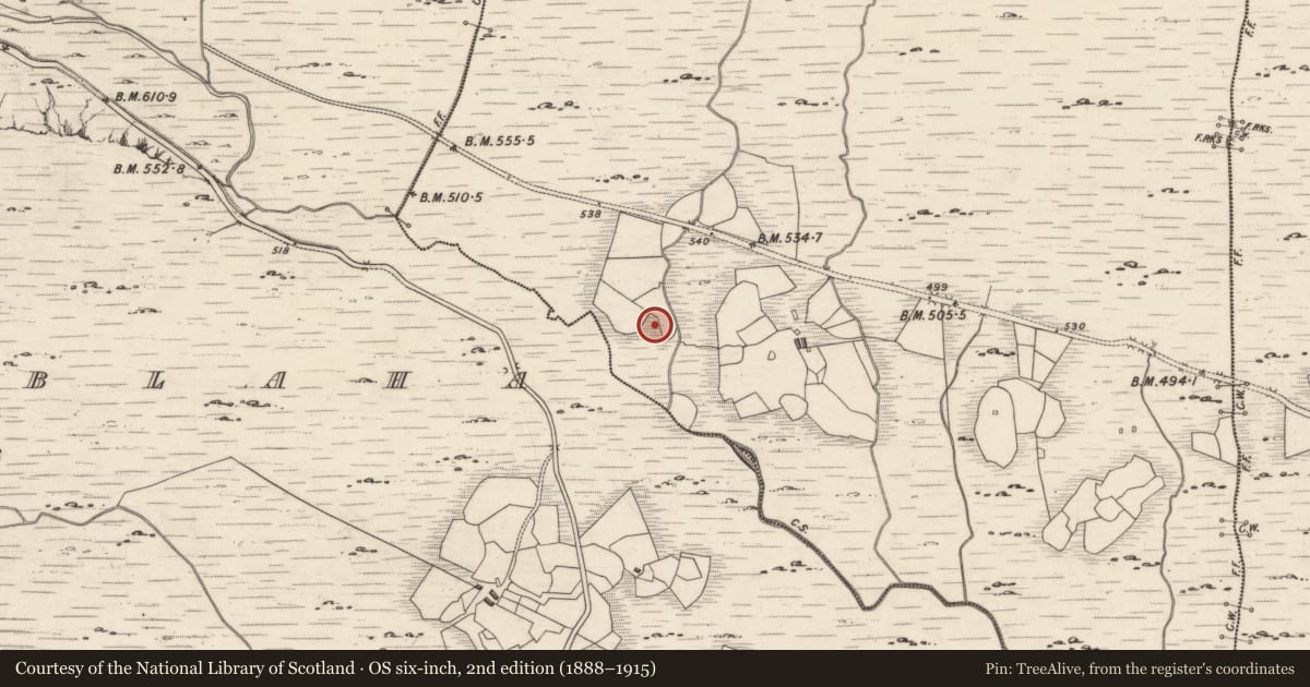 Ordnance Survey six-inch map, 2nd edition (1888–1915) covering the location of Rock art, Derreeny, County Kerry, with a pin at the register's coordinates