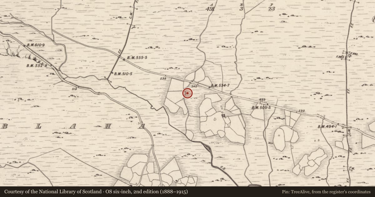 Ordnance Survey six-inch map, 2nd edition (1888–1915) covering the location of Rock art, Derreeny, County Kerry, with a pin at the register's coordinates