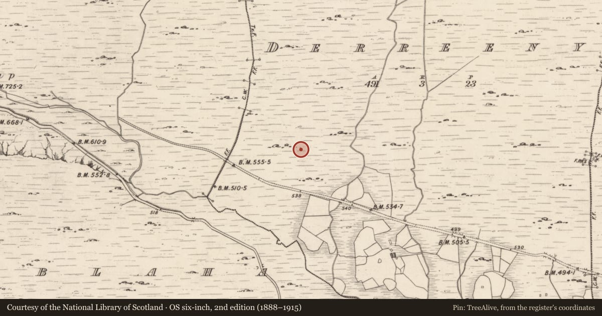 Ordnance Survey six-inch map, 2nd edition (1888–1915) covering the location of Rock art, Derreeny, County Kerry, with a pin at the register's coordinates