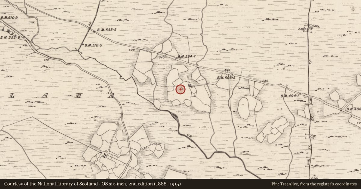 Ordnance Survey six-inch map, 2nd edition (1888–1915) covering the location of Rock art, Derreeny, County Kerry, with a pin at the register's coordinates