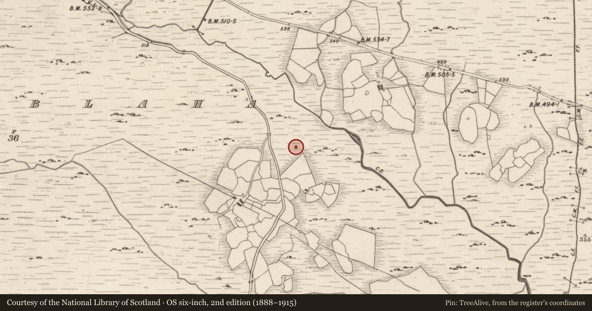 Ordnance Survey six-inch map, 2nd edition (1888–1915) covering the location of Rock art, Derrynablaha, County Kerry, with a pin at the register's coordinates