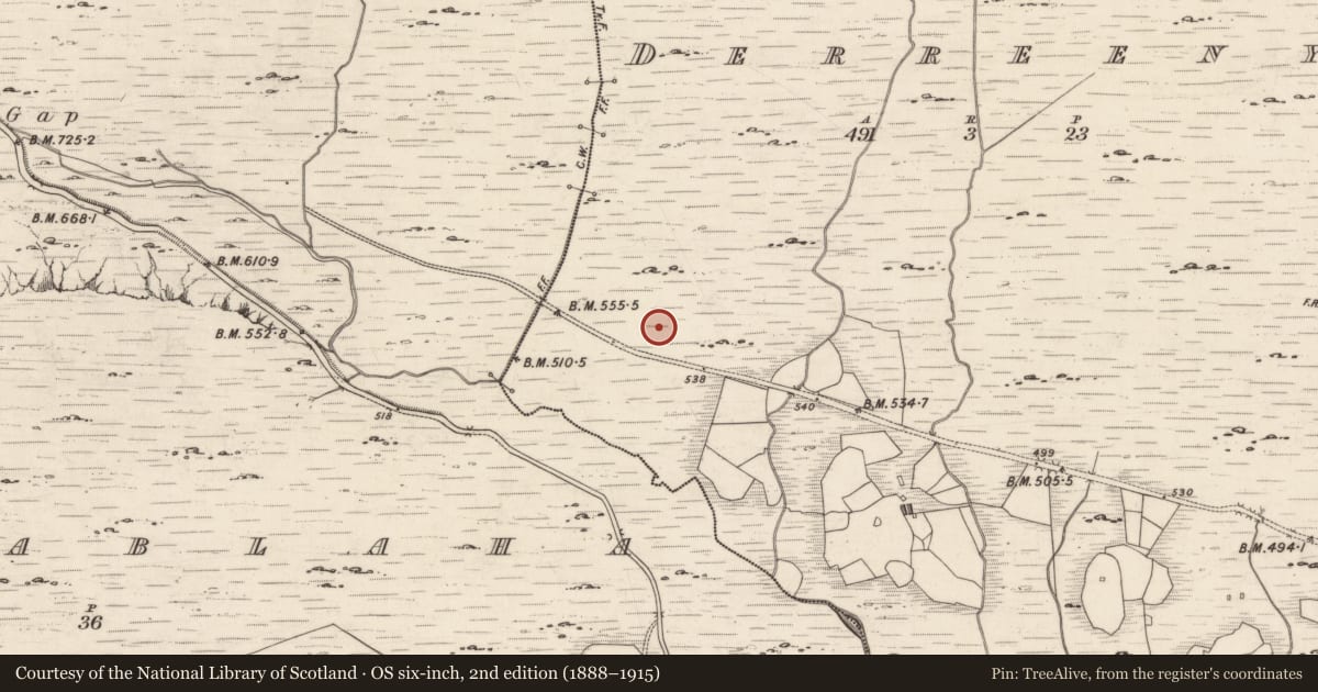 Ordnance Survey six-inch map, 2nd edition (1888–1915) covering the location of Rock art, Derreeny, County Kerry, with a pin at the register's coordinates