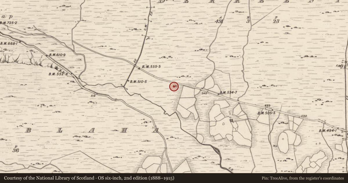 Ordnance Survey six-inch map, 2nd edition (1888–1915) covering the location of Rock art, Derreeny, County Kerry, with a pin at the register's coordinates