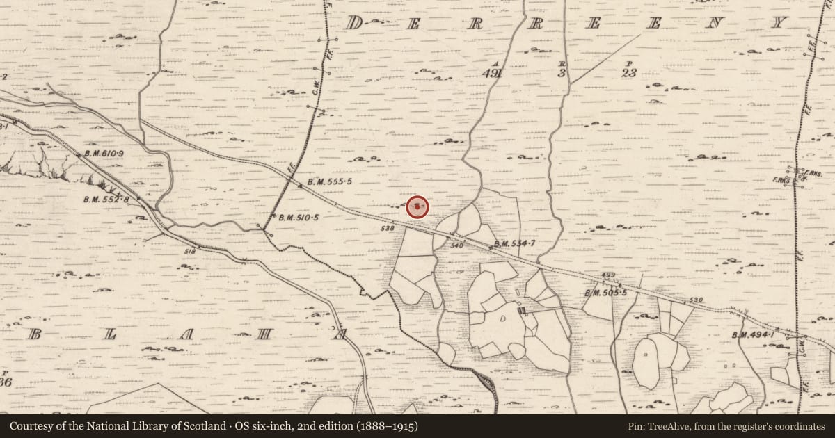 Ordnance Survey six-inch map, 2nd edition (1888–1915) covering the location of Rock art, Derreeny, County Kerry, with a pin at the register's coordinates