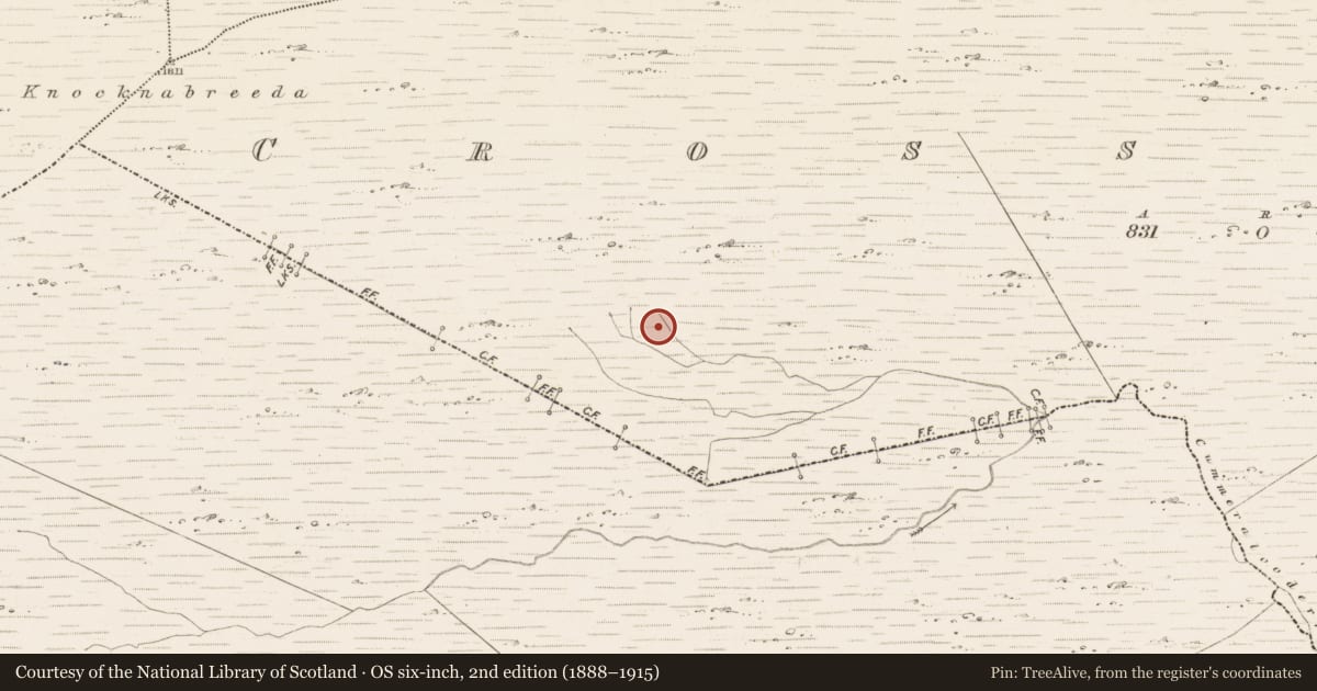 Ordnance Survey six-inch map, 2nd edition (1888–1915) covering the location of Enclosure, Crossderry, County Kerry, with a pin at the register's coordinates
