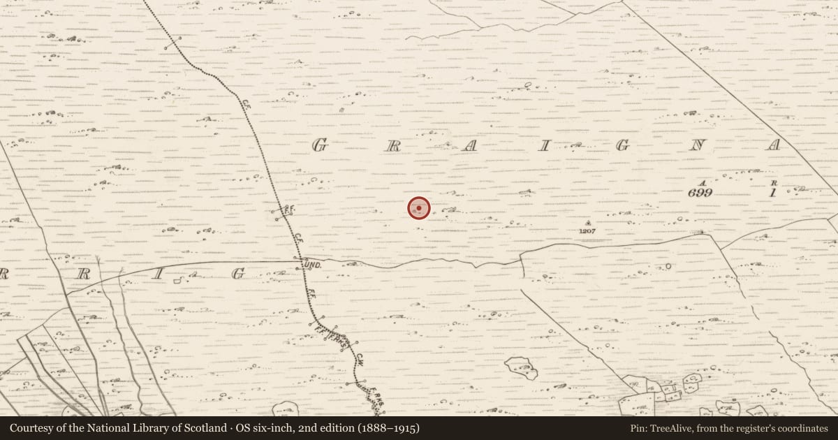 Ordnance Survey six-inch map, 2nd edition (1888–1915) covering the location of Enclosure, Graignagreana, County Kerry, with a pin at the register's coordinates