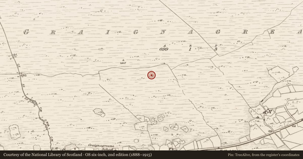 Ordnance Survey six-inch map, 2nd edition (1888–1915) covering the location of Enclosure, Graignagreana, County Kerry, with a pin at the register's coordinates