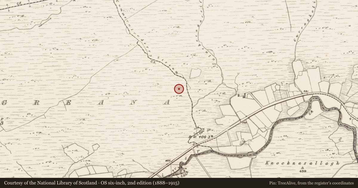 Ordnance Survey six-inch map, 2nd edition (1888–1915) covering the location of Hut site, Graignagreana, County Kerry, with a pin at the register's coordinates