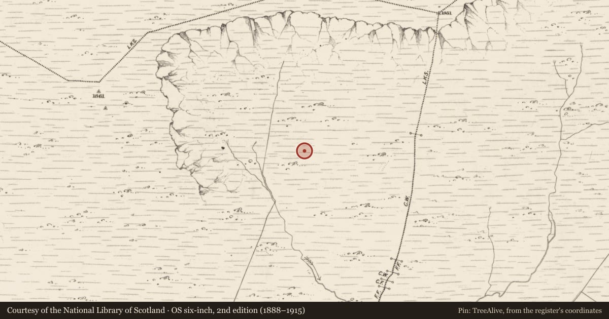 Ordnance Survey six-inch map, 2nd edition (1888–1915) covering the location of Hut site, Scarteen, County Kerry, with a pin at the register's coordinates