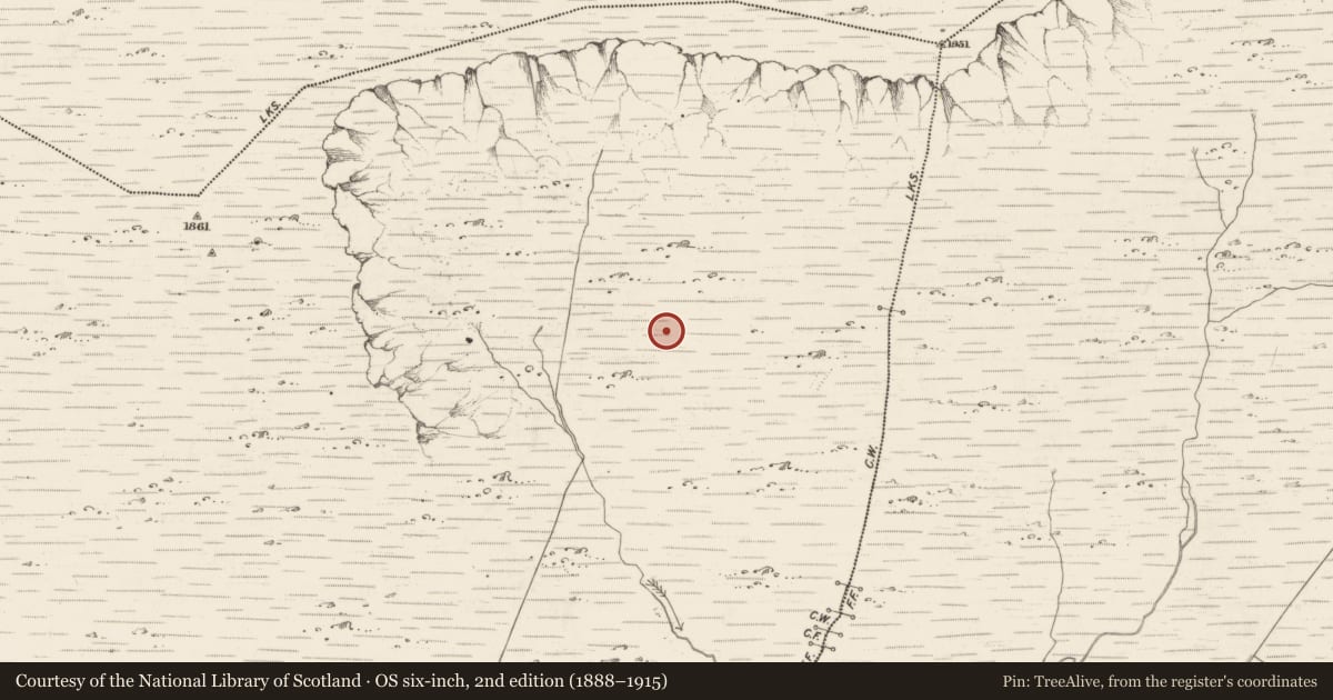 Ordnance Survey six-inch map, 2nd edition (1888–1915) covering the location of Field boundary, Scarteen, County Kerry, with a pin at the register's coordinates