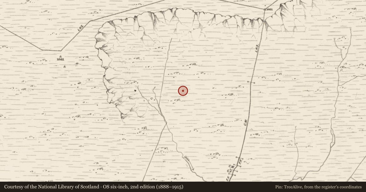 Ordnance Survey six-inch map, 2nd edition (1888–1915) covering the location of Hut site, Scarteen, County Kerry, with a pin at the register's coordinates
