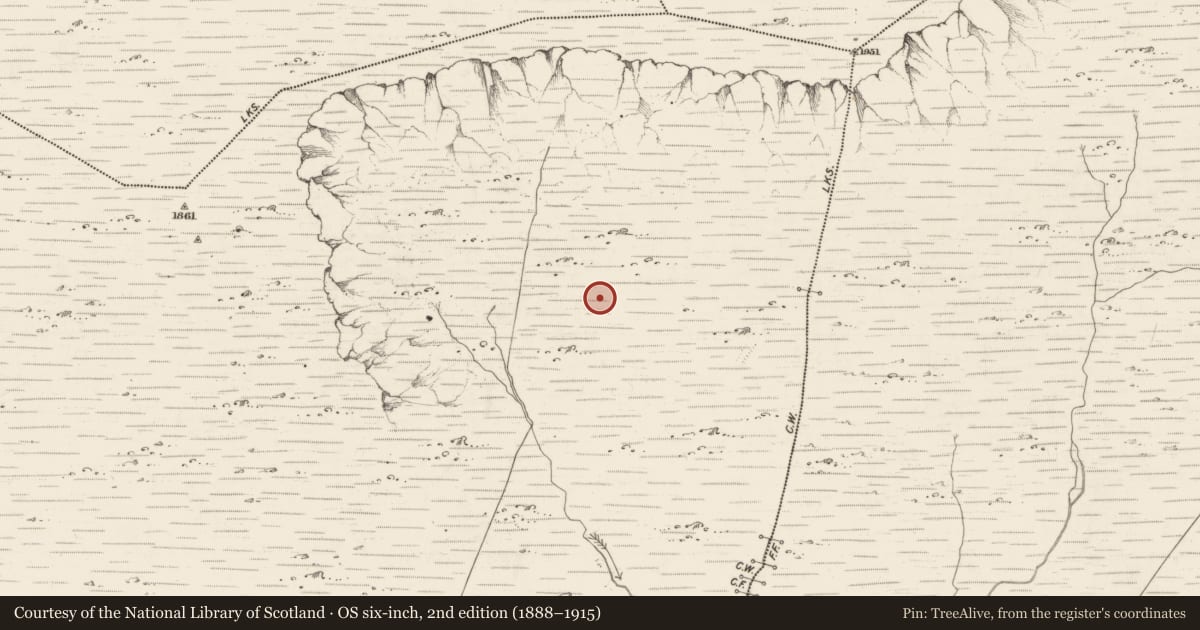 Ordnance Survey six-inch map, 2nd edition (1888–1915) covering the location of Hut site, Scarteen, County Kerry, with a pin at the register's coordinates