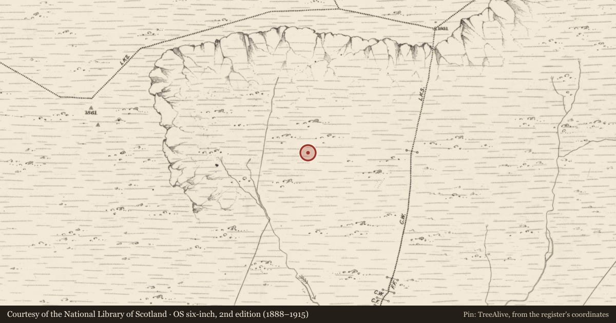 Ordnance Survey six-inch map, 2nd edition (1888–1915) covering the location of Hut site, Scarteen, County Kerry, with a pin at the register's coordinates