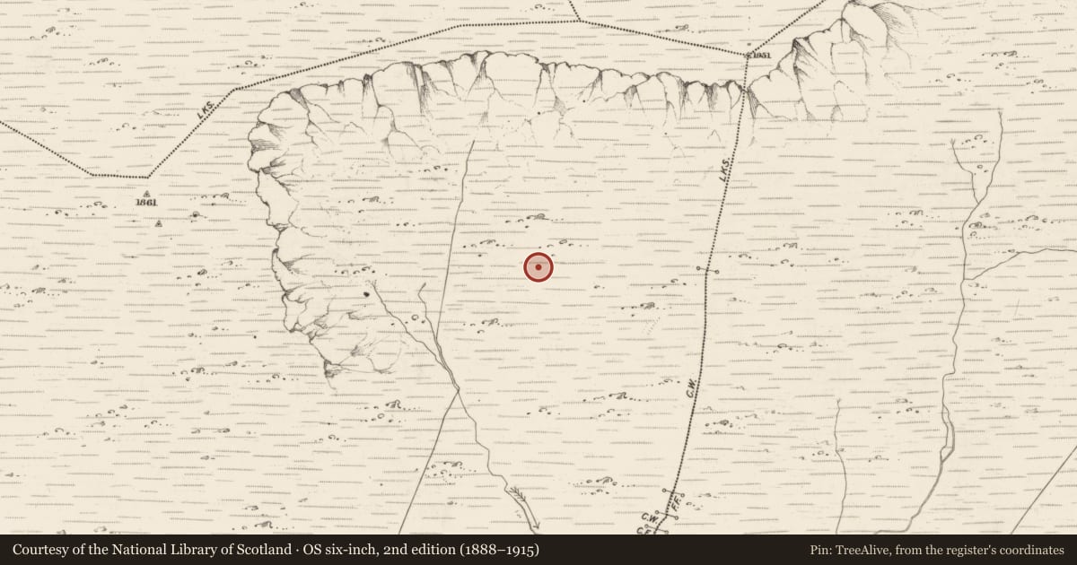 Ordnance Survey six-inch map, 2nd edition (1888–1915) covering the location of Hut site, Scarteen, County Kerry, with a pin at the register's coordinates
