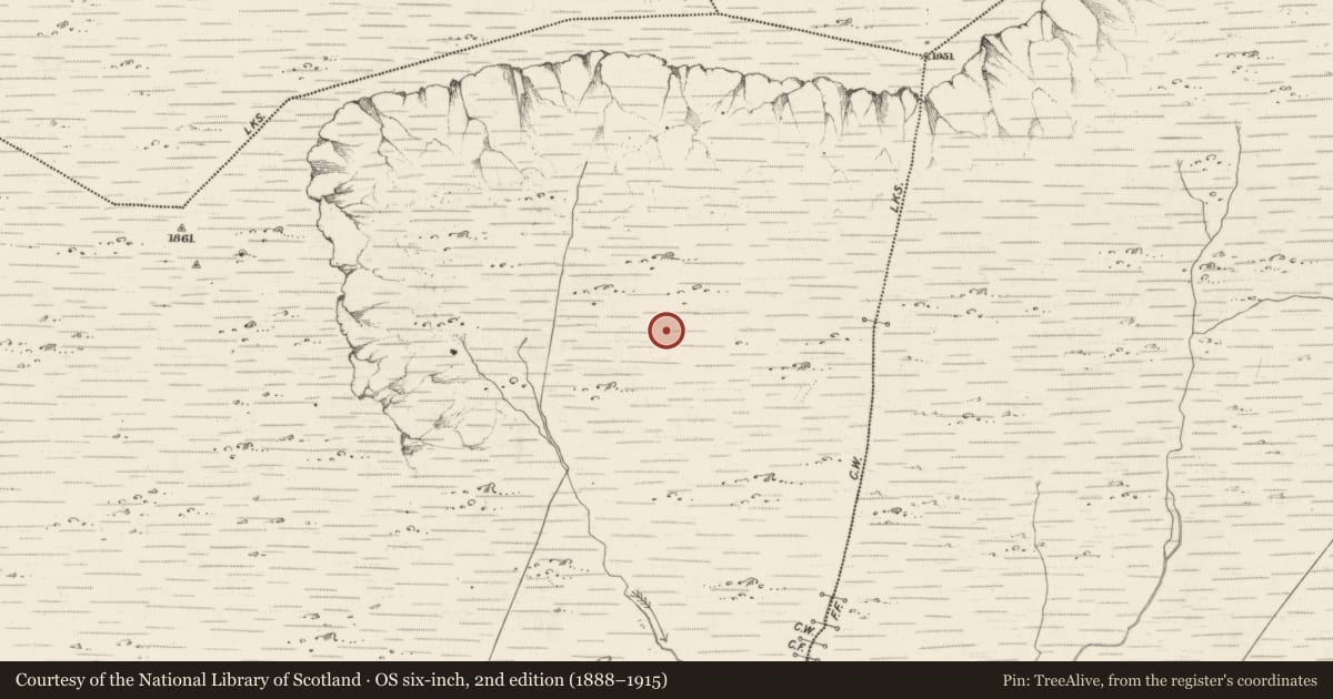 Ordnance Survey six-inch map, 2nd edition (1888–1915) covering the location of Hut site, Scarteen, County Kerry, with a pin at the register's coordinates