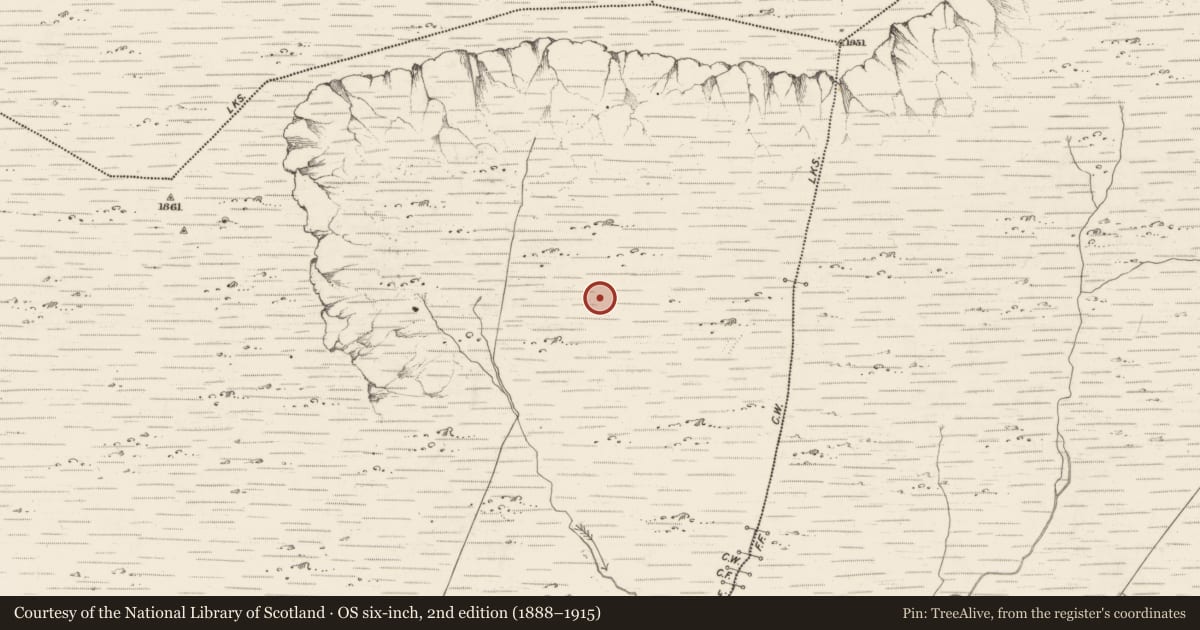 Ordnance Survey six-inch map, 2nd edition (1888–1915) covering the location of Hut site, Scarteen, County Kerry, with a pin at the register's coordinates
