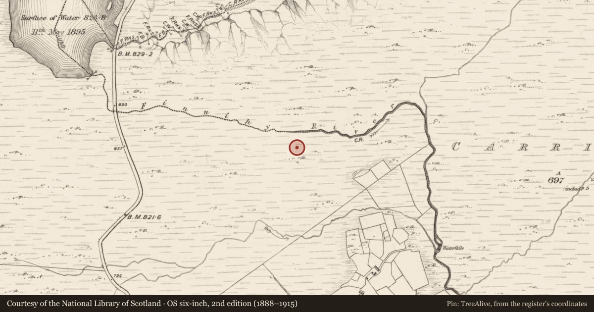 Ordnance Survey six-inch map, 2nd edition (1888–1915) covering the location of Hut site, Letter, County Kerry, with a pin at the register's coordinates