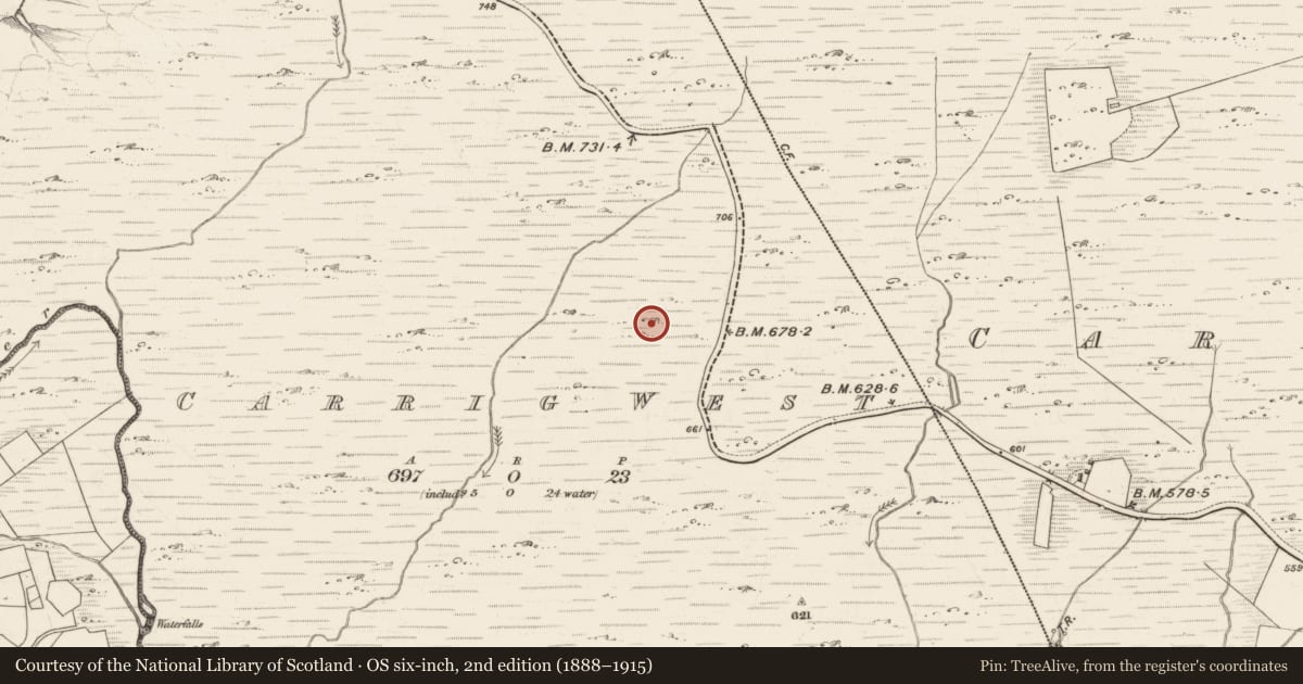 Ordnance Survey six-inch map, 2nd edition (1888–1915) covering the location of Hut site, Carrig West, County Kerry, with a pin at the register's coordinates