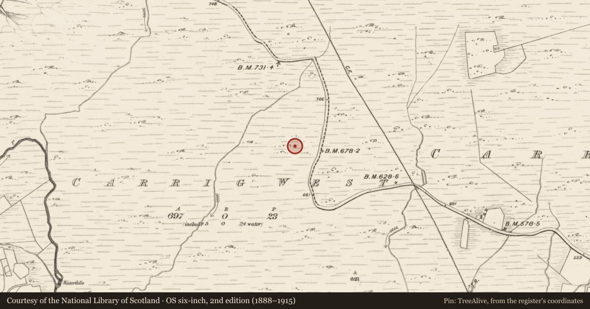 Ordnance Survey six-inch map, 2nd edition (1888–1915) covering the location of Field boundary, Carrig West, County Kerry, with a pin at the register's coordinates