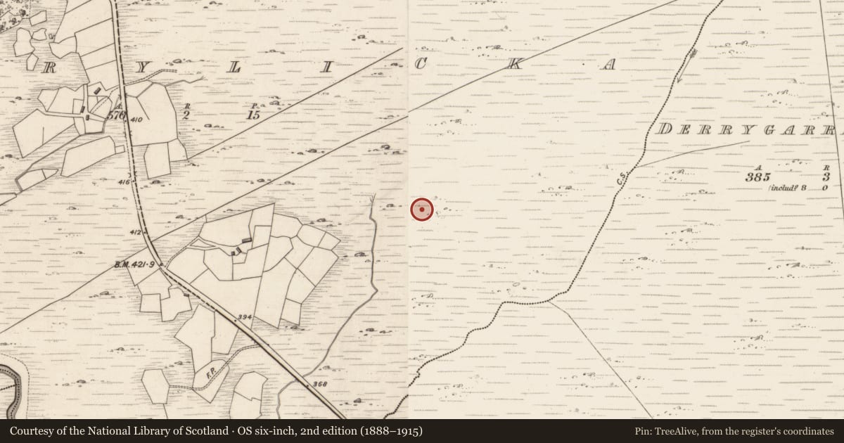 Ordnance Survey six-inch map, 2nd edition (1888–1915) covering the location of Enclosure, Derrylicka, County Kerry, with a pin at the register's coordinates