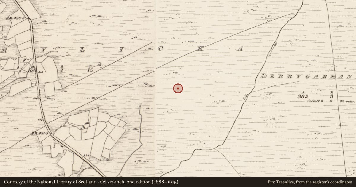 Ordnance Survey six-inch map, 2nd edition (1888–1915) covering the location of Field boundary, Derrylicka, County Kerry, with a pin at the register's coordinates