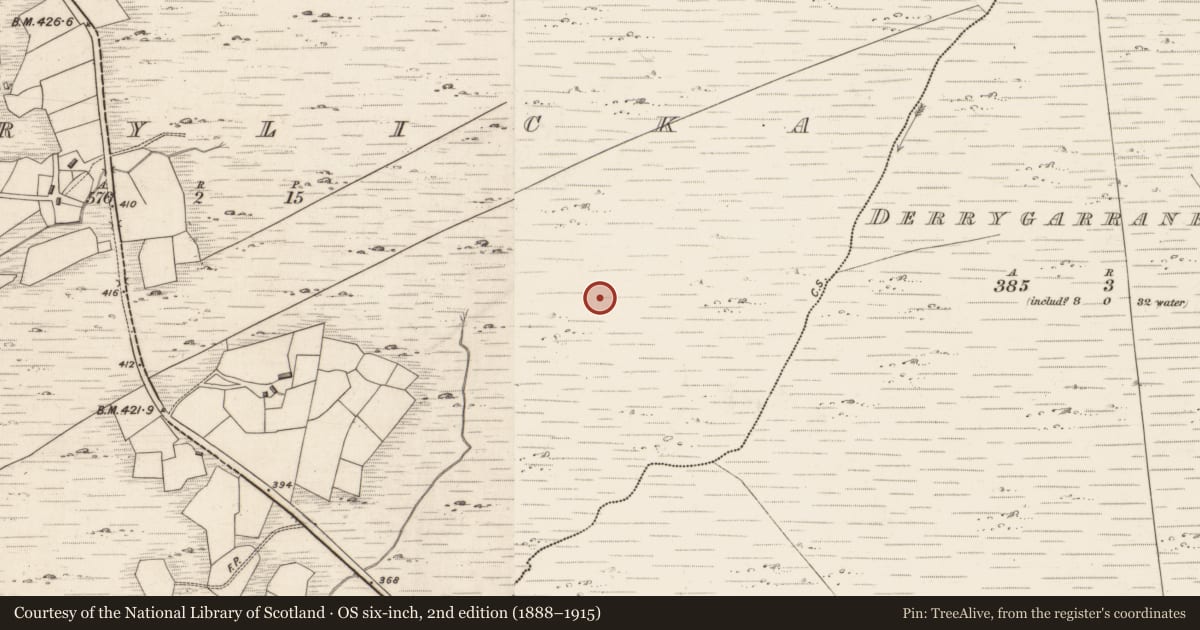 Ordnance Survey six-inch map, 2nd edition (1888–1915) covering the location of Hut site, Derrylicka, County Kerry, with a pin at the register's coordinates